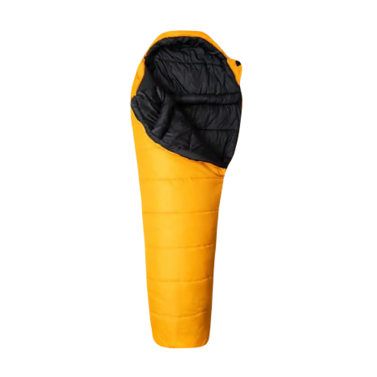 Спальний мішок Snugpak Sleeper Expedition WGTE (комф.- 12°C/ до. -17°C). Жовтий