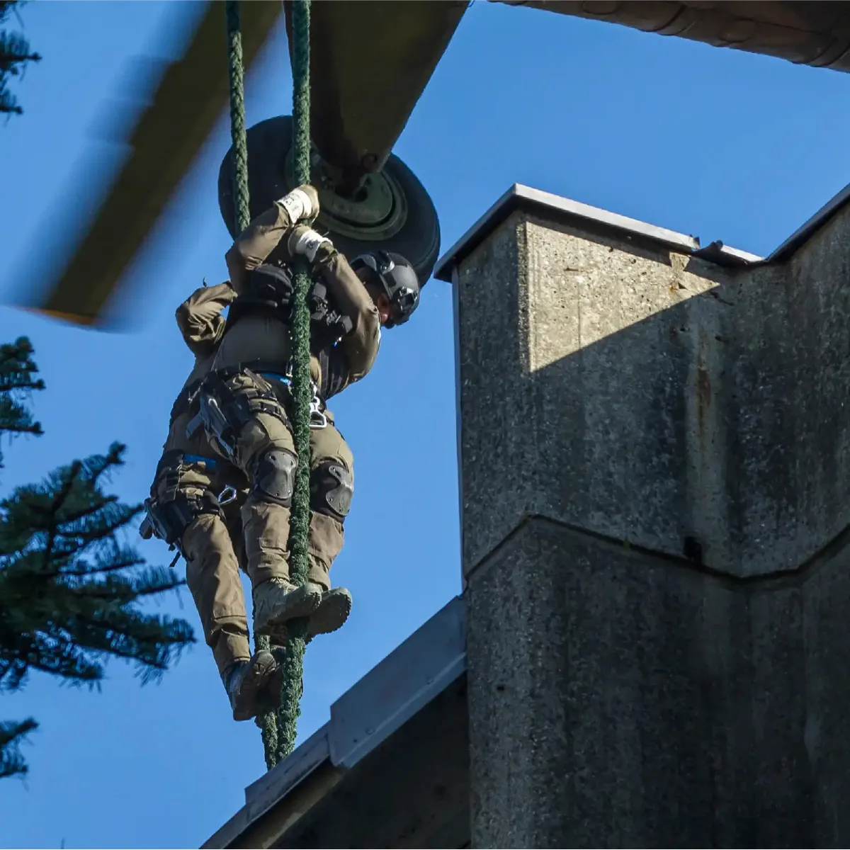 Тактичні черевики Lowa Zephyr Mk2 MID TF. Coyote OP 13