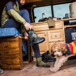 Черевики Salomon Quest 4 Gore-tex. Зелені / Олива / Olive Night 3